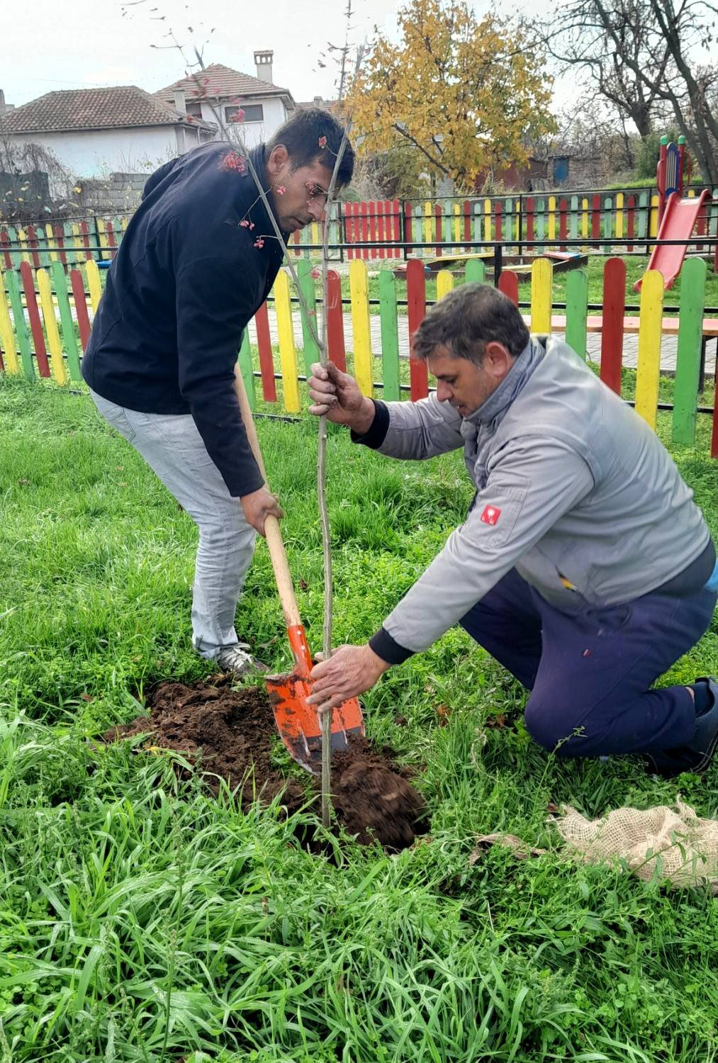 Повече от 500 бр. фиданки раздаде безвъзмездно община Асеновград